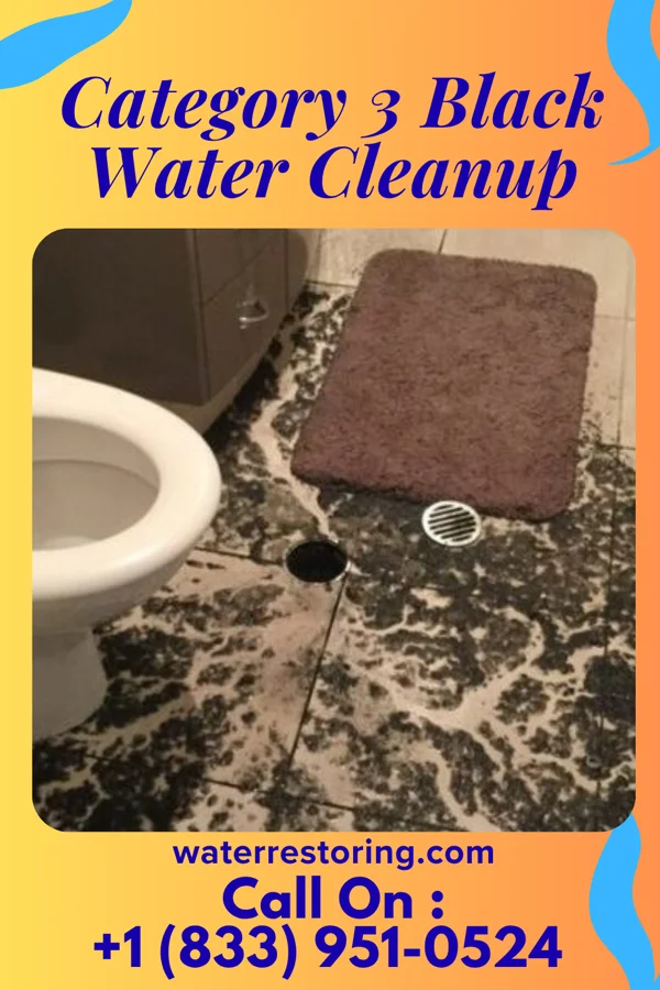 Category 3 Black Water Cleanup in Puyallup, WA