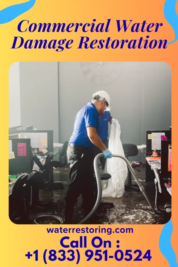 Commercial Water Damage Restoration in Puyallup, WA