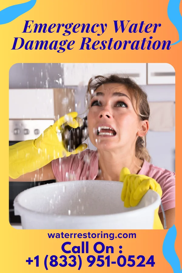 Emergency Water Damage Restoration in Puyallup, WA