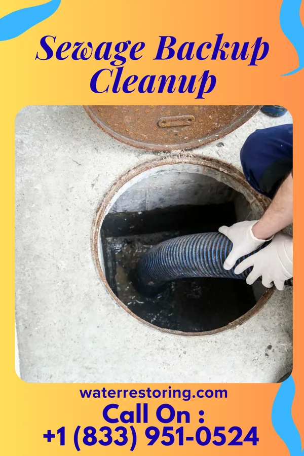 Sewage Backup Cleanup in Puyallup, WA