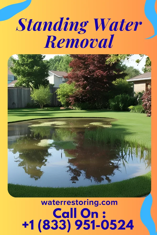 Standing Water Removal in Puyallup, WA